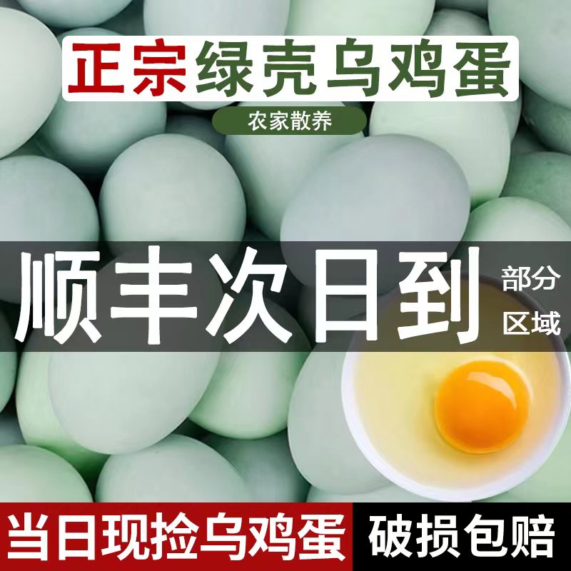 新鲜绿壳乌鸡蛋顺丰次日达