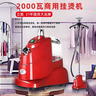 店大挺熨烫机功率商用手持立式 立挺挂烫机蒸汽熨斗家用服装 调温一