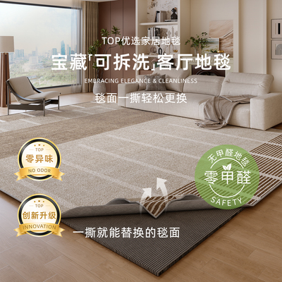 可拆洗地毯客厅2025新款现代简约可机洗床边毯轻奢高级双层可拆卸