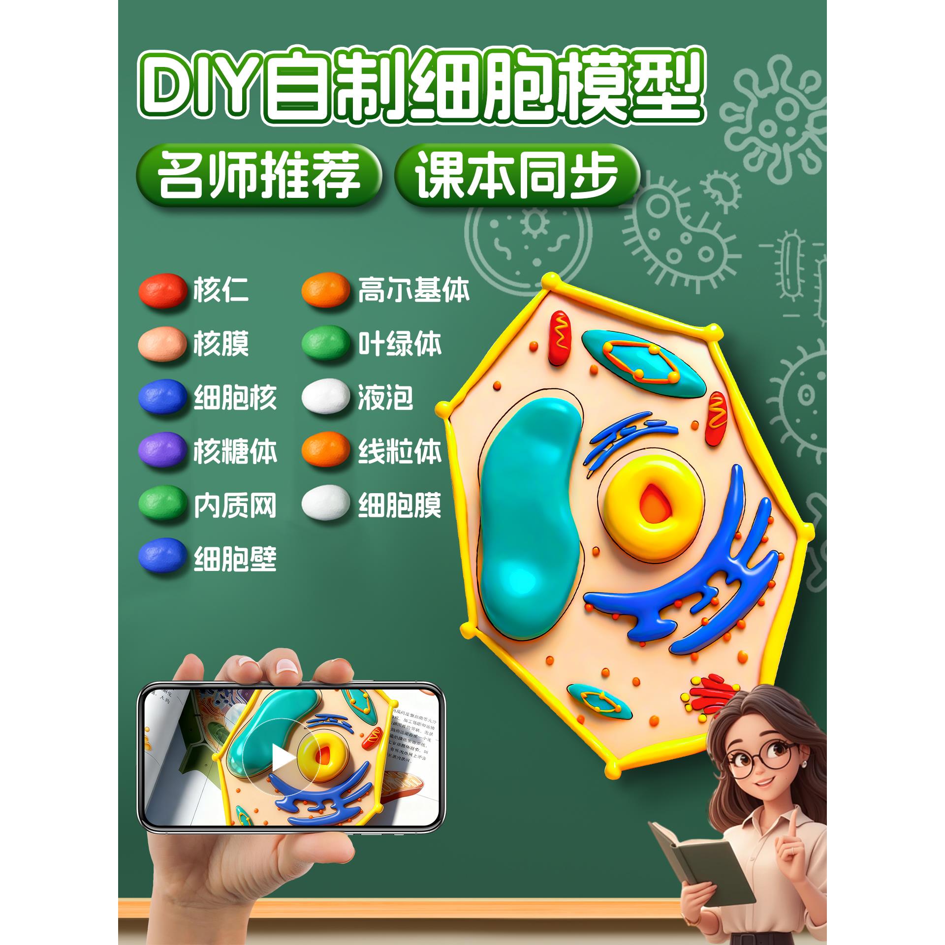 细胞模型制作材料包七年级