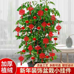 饰挂件 客厅绿植盆景盆栽福字灯笼挂饰小挂件富贵竹幸福发财树上装