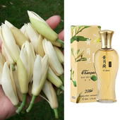 老牌国货黄角兰白兰花香水栀子花女士清新持久留香花香淡香正品