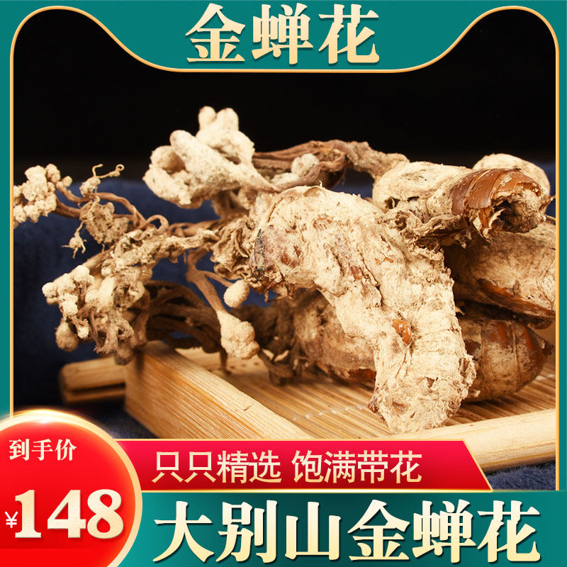 大别山金蝉花200g中药非野生知了花 虫草金蝉花的功效非500g包邮