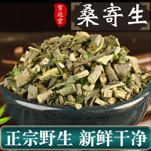 桑寄生中药材正品500g克 正宗非野生寄生可磨桑寄生粉泡桑寄生茶