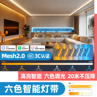 智能MESH2.0六色调光SMD灯带高亮