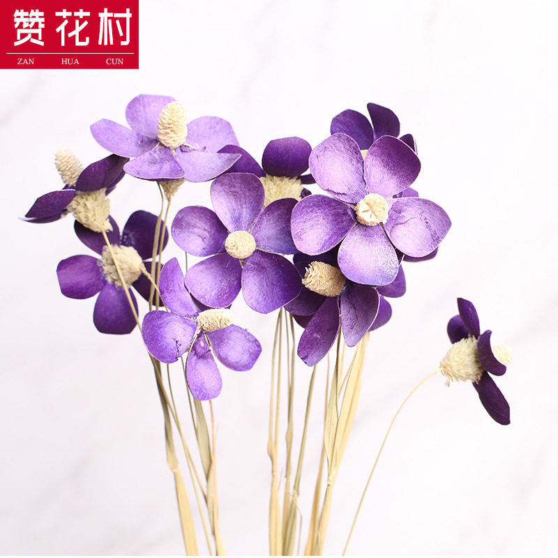 云南干花花束紫罗兰蝴蝶