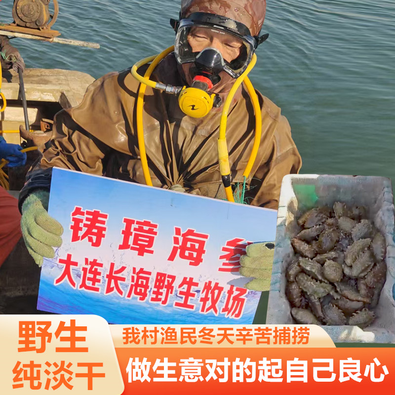 大连海参大连辽参野生纯淡干海参海参