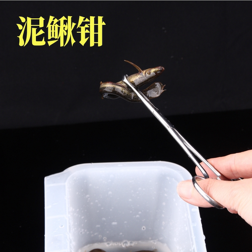 千渔筏筏钓泥鳅夹泥鳅钳子