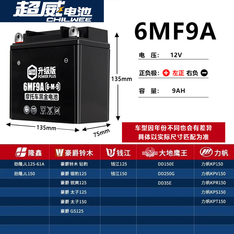 宗申比亚乔风行BYQ125-2E week8 fi叛逆者250摩托车电瓶12v蓄电池
