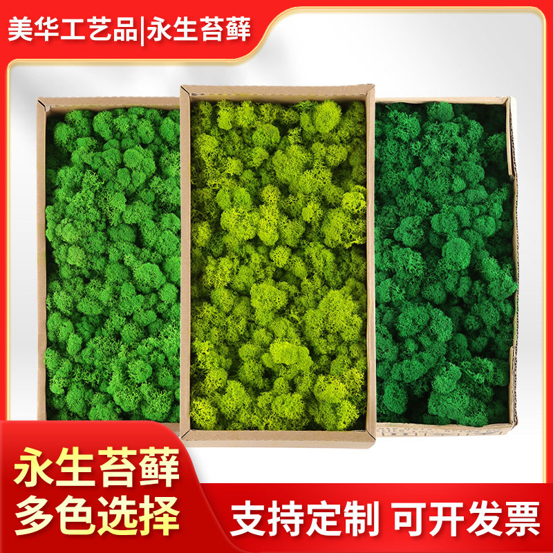 永生苔藓仿真植物墙配材青苔假苔藓背景墙家居装饰永生花仿真绿植