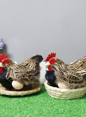 仿真母鸡公鸡动物标本孵蛋鸡模型工艺品超市鸡蛋装饰美陈道具摆件
