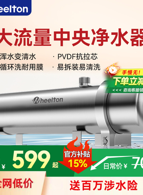 惠尔顿中央净水器家用大流量全屋自来水管道农村pvdf超滤饮水机