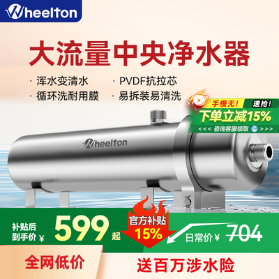 惠尔顿中央净水器家用大流量全屋自来水管道农村pvdf超滤饮水机