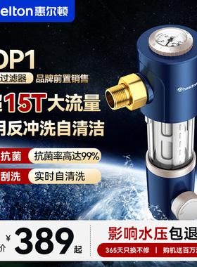 惠尔顿前置过滤器P0038Pro家用反冲洗全铜防爆自动清洗全屋超15T