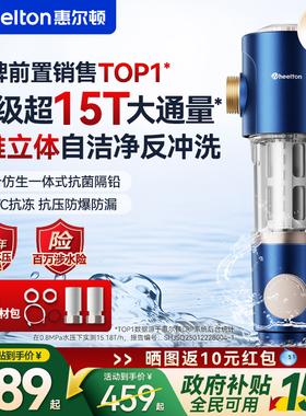 惠尔顿前置过滤器家用反冲洗净水器自动清洗超15T全屋P0038Pro