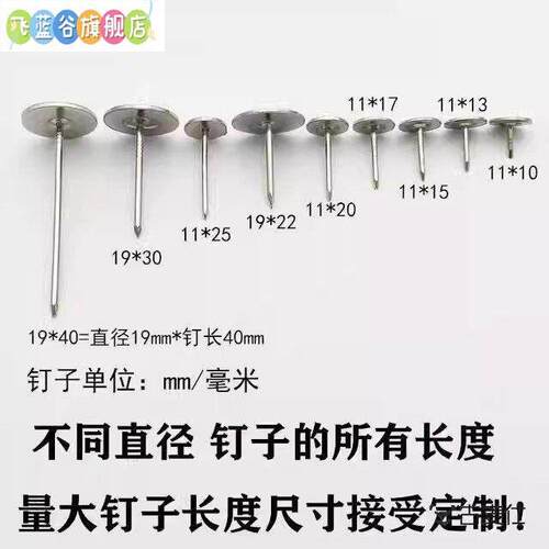 图钉摁钉不锈钢大头钉打孔安全家用水泥钢钉加长平头钉大号耐用