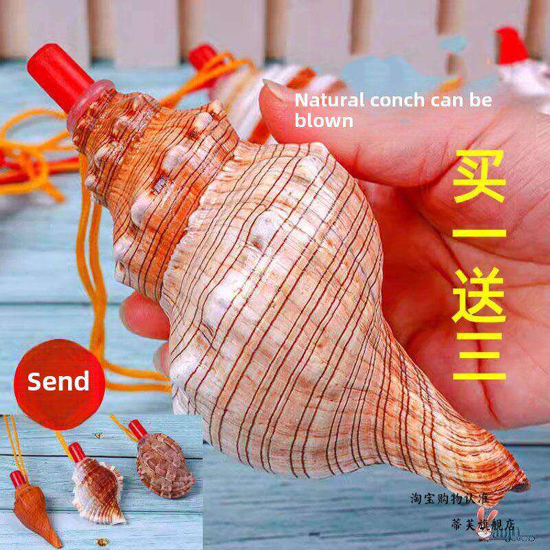 天然海螺号角可吹喇叭口哨超大贝壳哨子儿童玩具哨小螺号能吹响的