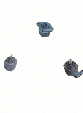 BB-B4 B10 B6 B16 B25 B32 B40 B50 B80 B63 B125N摆线齿轮油泵Y