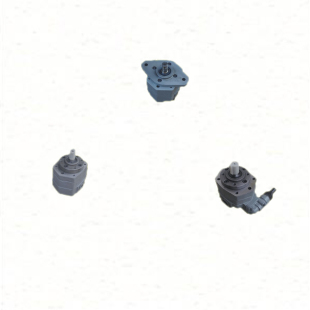 B80 B125N摆线齿轮油泵Y B32 B40 B25 B10 B16 B63 B50