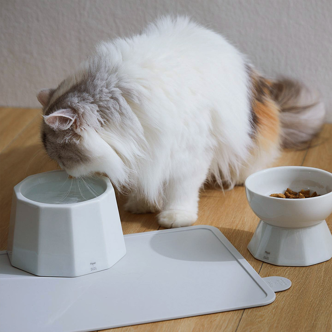 CenttiHome 韩国进口MUJAGI宠物用具 陶瓷 饮水碗 高脚碗 猫粮碗
