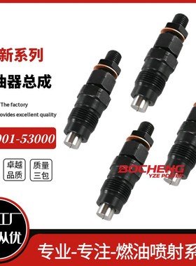160001-53000 160001-53001 160001-53002 160001-53003喷油器