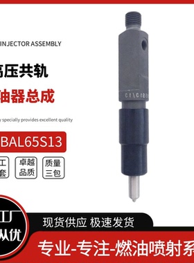 KBAL65S13 喷油器 适用道依茨发动机 F3L912 F4L912 全新2233085