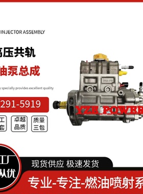 291-5919喷油泵总成10R-7660 2641A306跨境电商优质货源稳定耐用