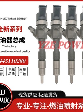 0445110280  适用于 雷-诺 F9Q 816 发动机