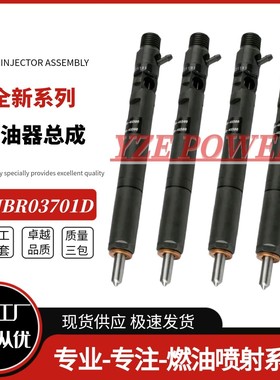 EJBR03701D 柴油喷油器33800-4X800适用于华泰特拉卡2.9T电喷