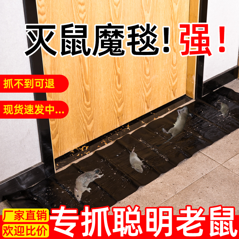 强力老鼠贴粘鼠板毯黏贴沾胶捕鼠夹器灭鼠神器家用克星高效一窝端