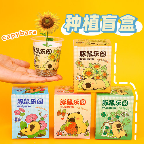 学生奖励小礼品DIY植物种植盲盒