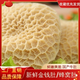 重庆散养黄牛水发金钱肚4斤蜂窝肚新鲜牛小肚牛杂八成熟食材牛肚
