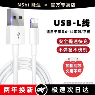 能适】适用苹果14/13快充数据线lightning充电线14Pro超级快充12-6 加长USB接口快充线iPad充电