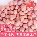 新货白沙精选花生米无壳特级新鲜生花生米批发生 手工挑选 当季