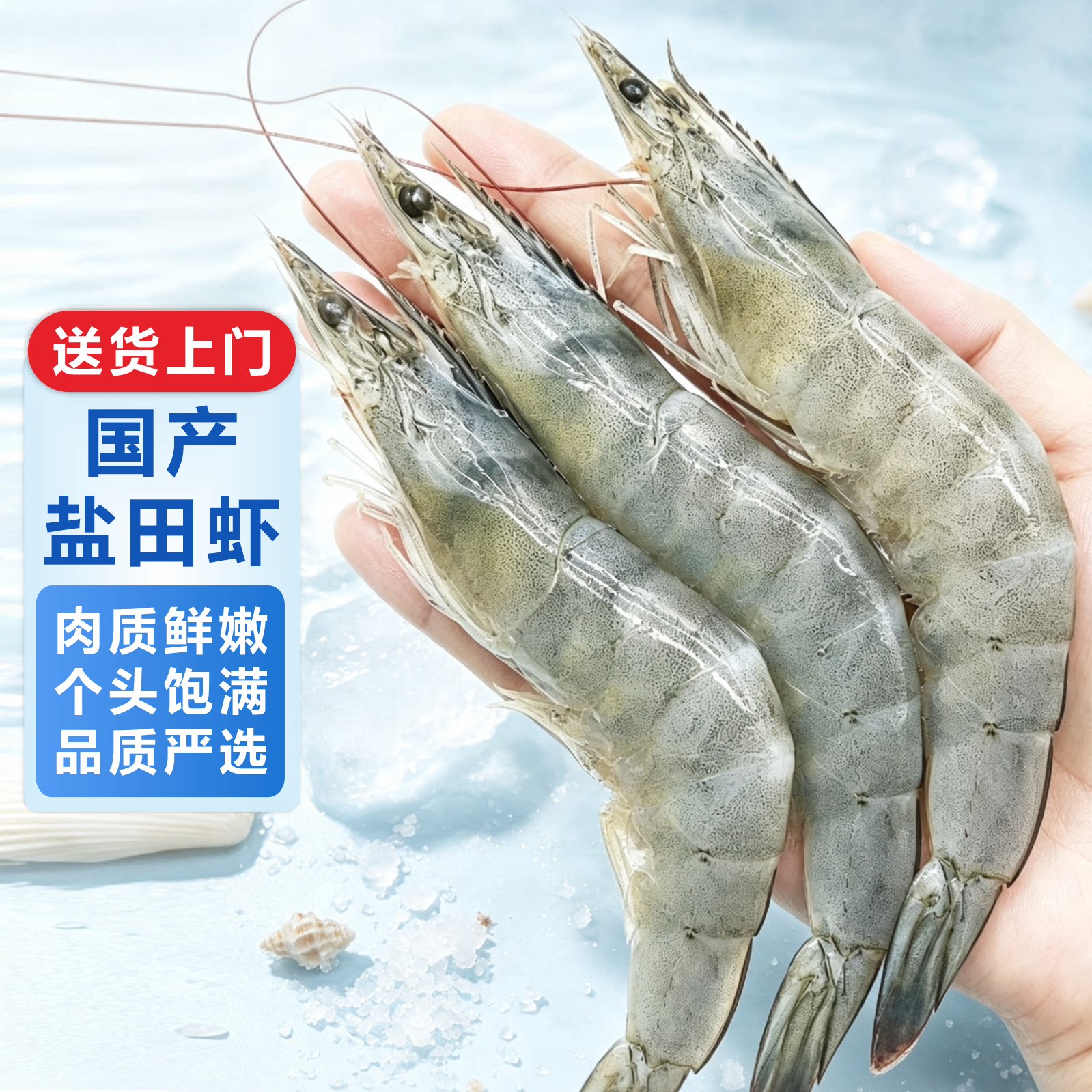 国产新鲜海捕盐田大虾鲜活速冻大虾基围虾白虾海虾生鲜水产品批发