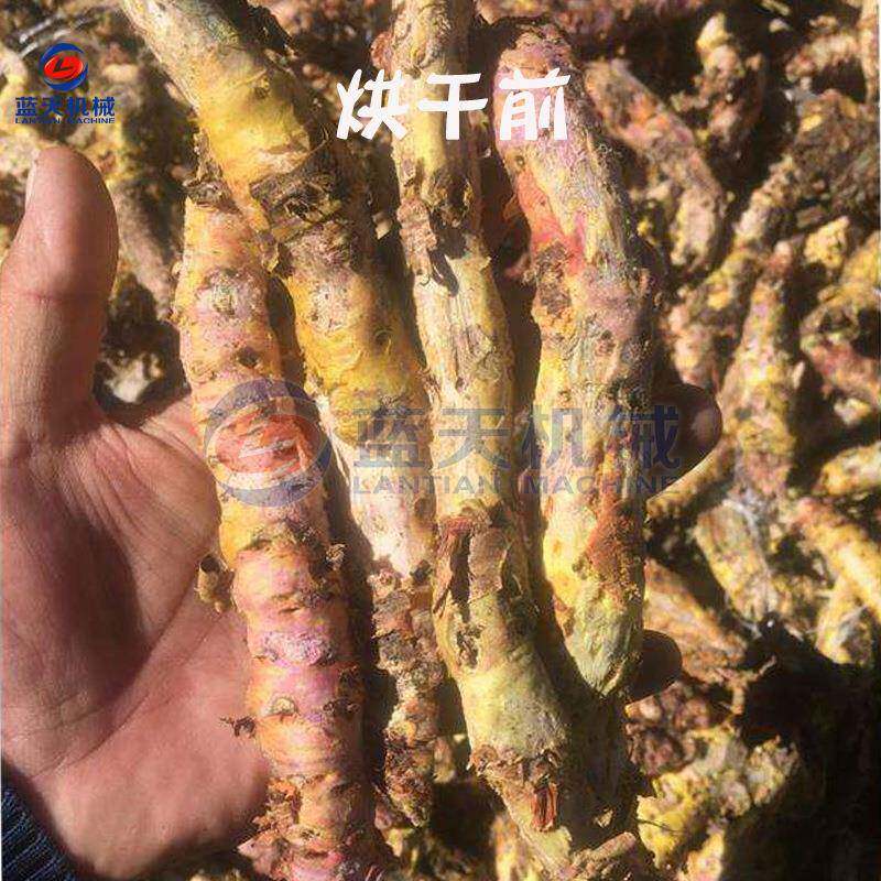 红景天烘GPW干机扫罗玛尔布中药材设备 电加仙热赐草脱水干燥 设