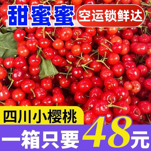 四川攀枝花米易小樱桃4斤新鲜当季水果酸甜孕妇水果樱桃整箱包邮1