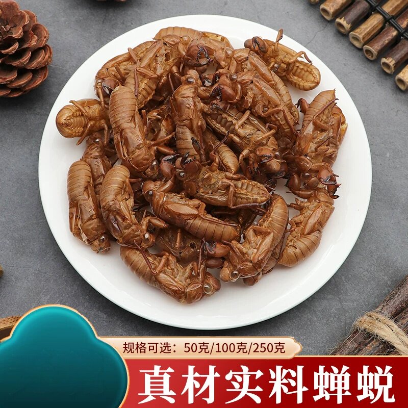 蝉蜕新鲜250克包邮知了皮蝉蜕粉衣壳虫蜕退猴壳金蝉衣知了采收