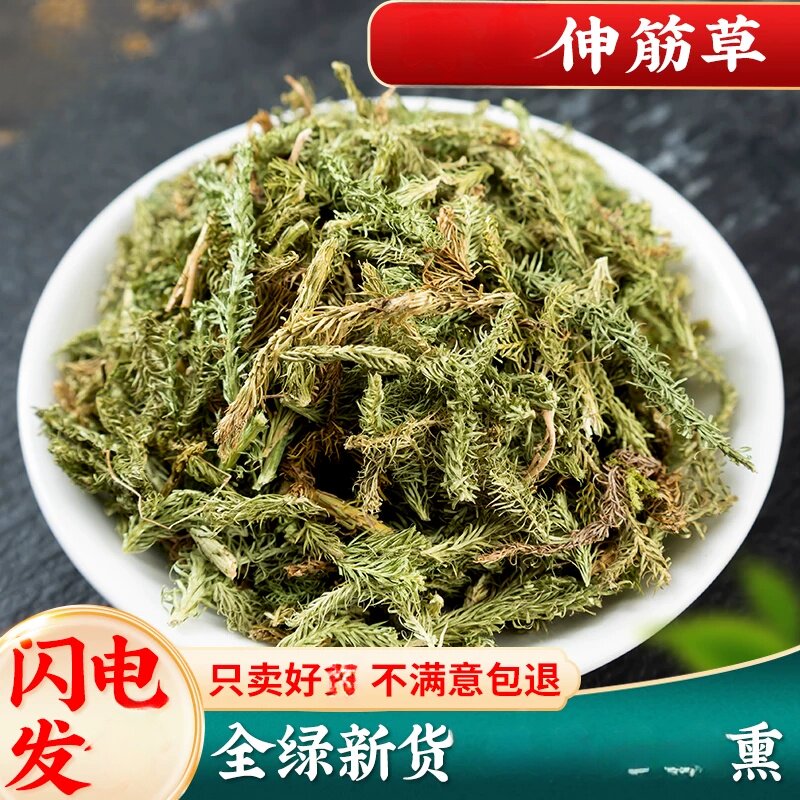 伸筋草中药500克另售远志益智仁伸筋草透骨草新货