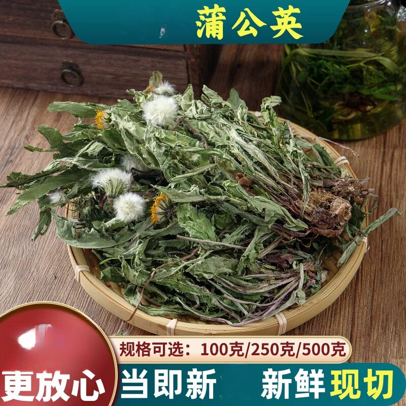 选装蒲公英500g250g100克蒲公英茶干蒲公英全株切段
