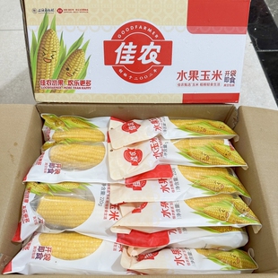 适用佳农水果型甜玉米棒30根整箱开袋即食非转基因单根220g好 包邮