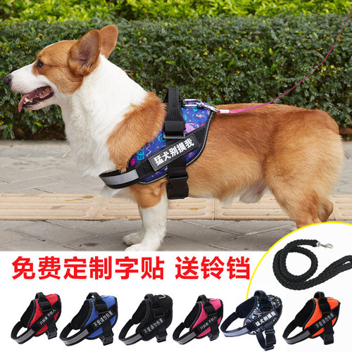 外出中大型犬定制牵引防挣脱遛狗