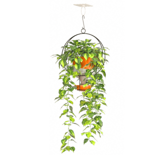 免打孔屋顶挂钩花架吊兰绿萝爬藤天花板悬挂花篮鸟笼花盆吊篮支架