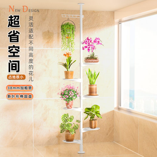 顶天立地室内阳台省空间立体花架