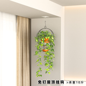 免打孔屋顶挂钩花架吊兰绿萝爬藤天花板悬挂花篮鸟笼花盆吊篮支架