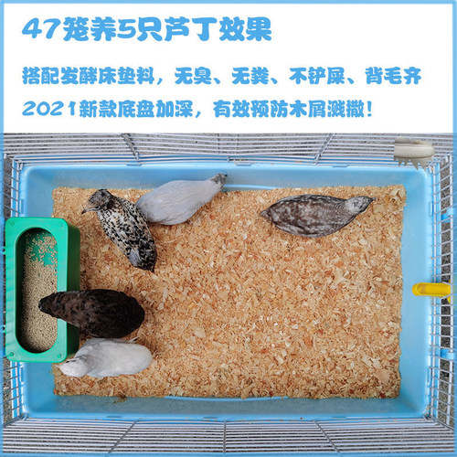 芦丁鸡专用笼家用阳台鹌鹑养鸭笼子养殖宠物饲养箱无臭发酵床鸡笼