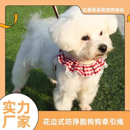 狗狗牵引绳小型犬胸背带花边背心遛狗绳子狗链子可爱猫狗用品