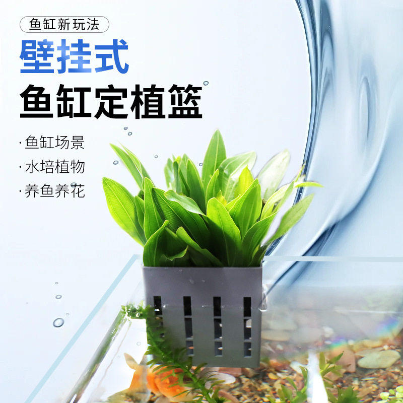 鱼缸水培植物篮家用水草种植杯壁挂式挺水植物定植篮鱼缸造景装饰,宠物/宠物食品及用品,造景/装饰,淘宝优惠券,粉丝福利购,淘宝优惠卷