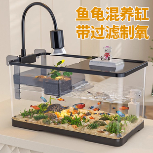 鱼缸小型客厅过滤制氧一体机混养乌龟饲养缸爬台桌面生态养龟专用