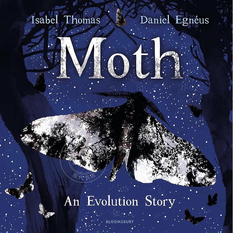 现货 飞蛾 儿童绘本故事书 Isabel Thomas 英文原版 Moth 5-7岁